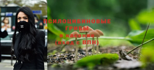 apvp Баксан