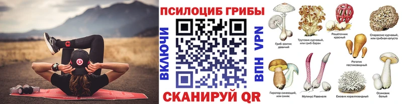 Псилоцибиновые грибы мицелий  Купить закладки  Лодейное Поле 