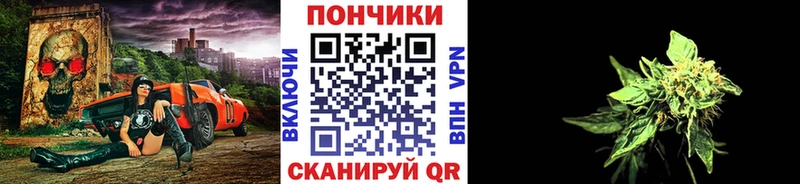 Купить закладки  Лодейное Поле  Шишки марихуана планчик 